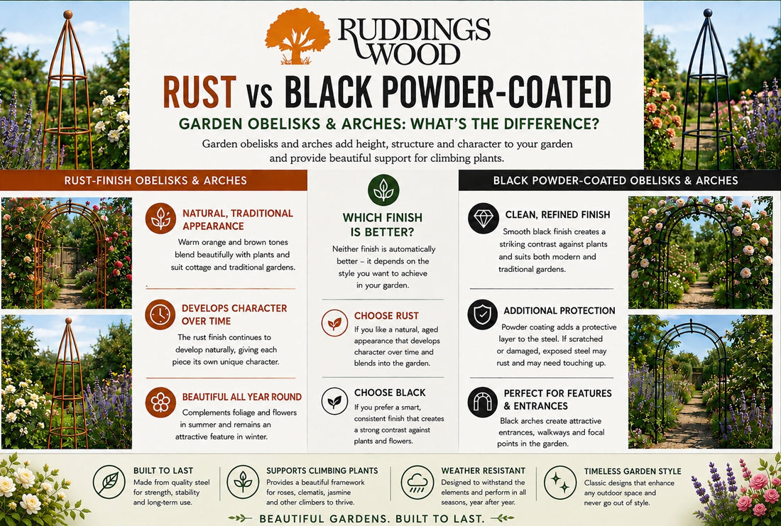 Rust or Black? Choosing the Perfect Garden Arch or Plant Obelisk