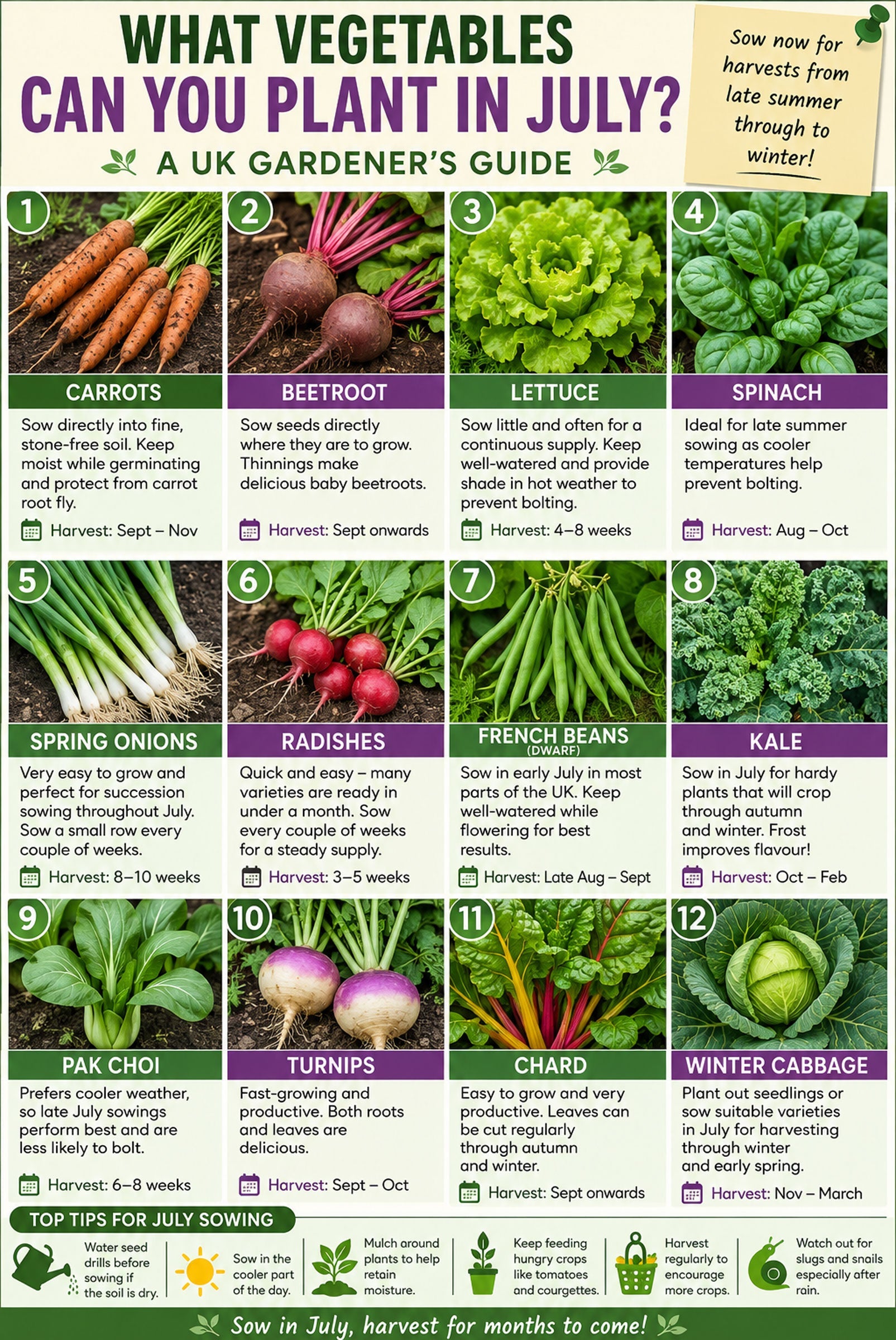 What Vegetables Can You Plant in July