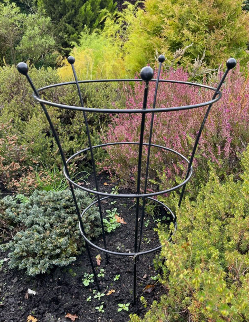 Plant Peony Support Cage - Frames for Roses & Perennials