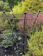Plant Peony Support Cage - Frames for Roses & Perennials