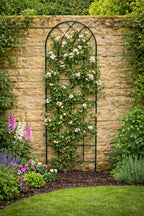 Tall Metal Garden Trellises for Climbing Plants - Wall Mounted Plant Supports