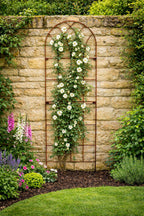 Tall Natural Rust Garden Trellises for Roses - High Climbing Plant Frames