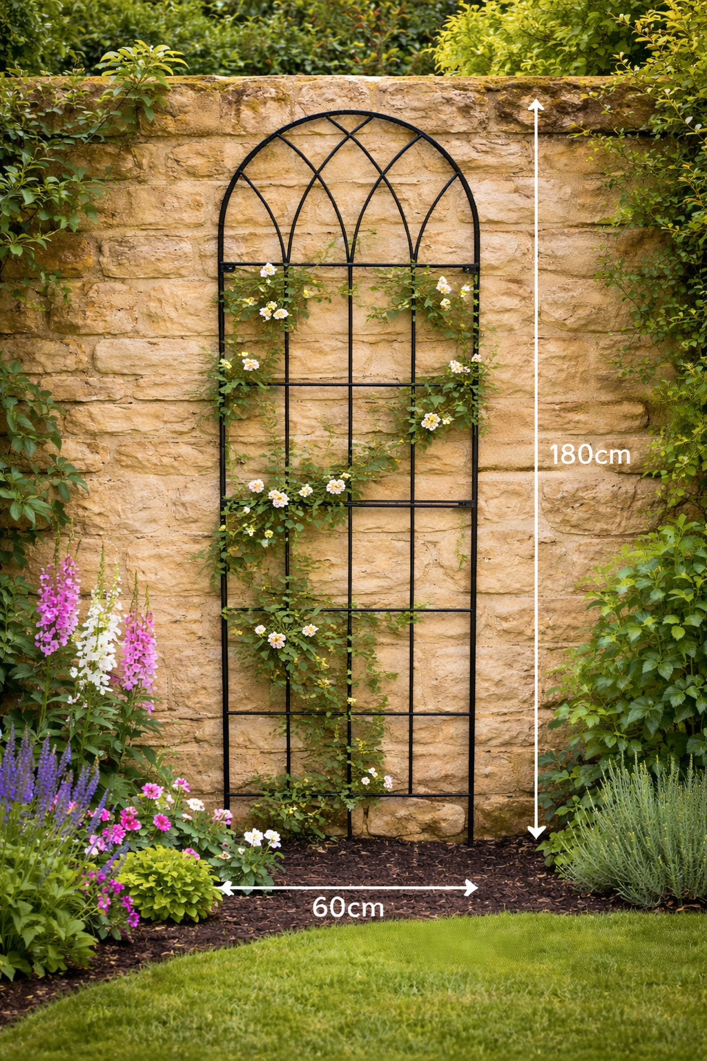Tall Metal Garden Trellises for Climbing Plants - Wall Mounted Plant Supports