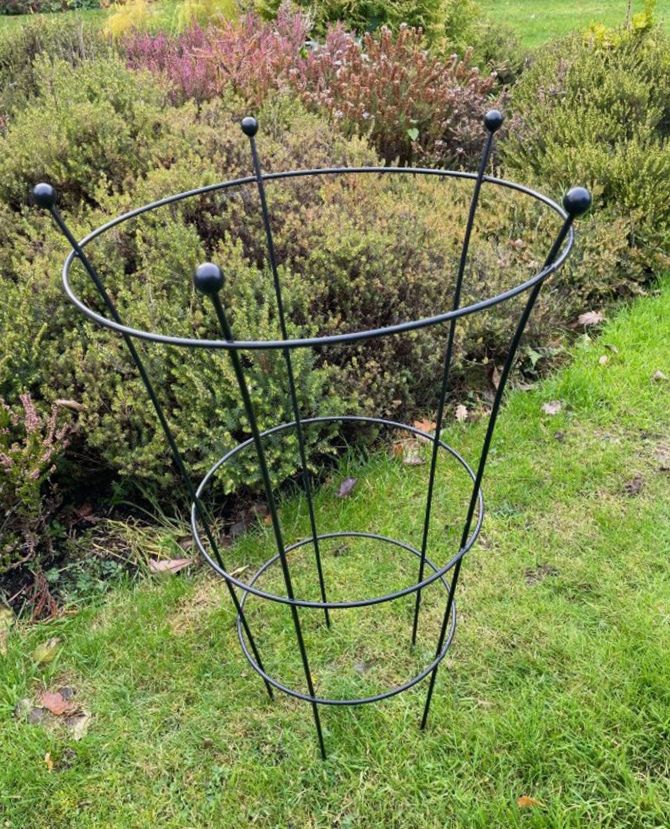 Plant Peony Support Cage - Frames for Roses & Perennials