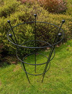 Plant Peony Support Cage - Frames for Roses & Perennials