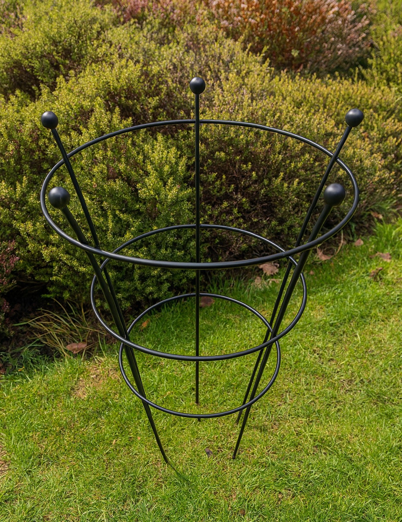 Plant Peony Support Cage - Frames for Roses & Perennials