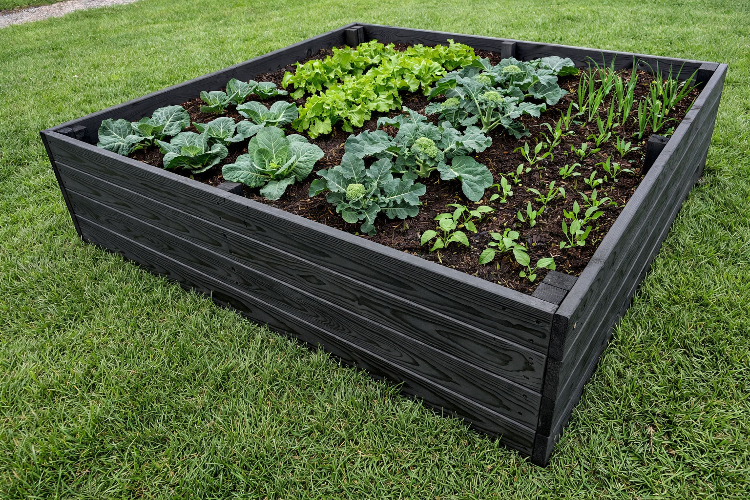 Wooden Raised Garden Beds for Vegetables Plants - Multiple Sizes