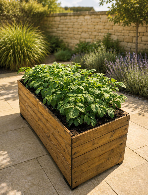Extra Large Wooden Raised Garden Planters Timber Vegetable Planter Boxes with Drainage Base and Raised Feet – Outdoor Patio Grow Beds