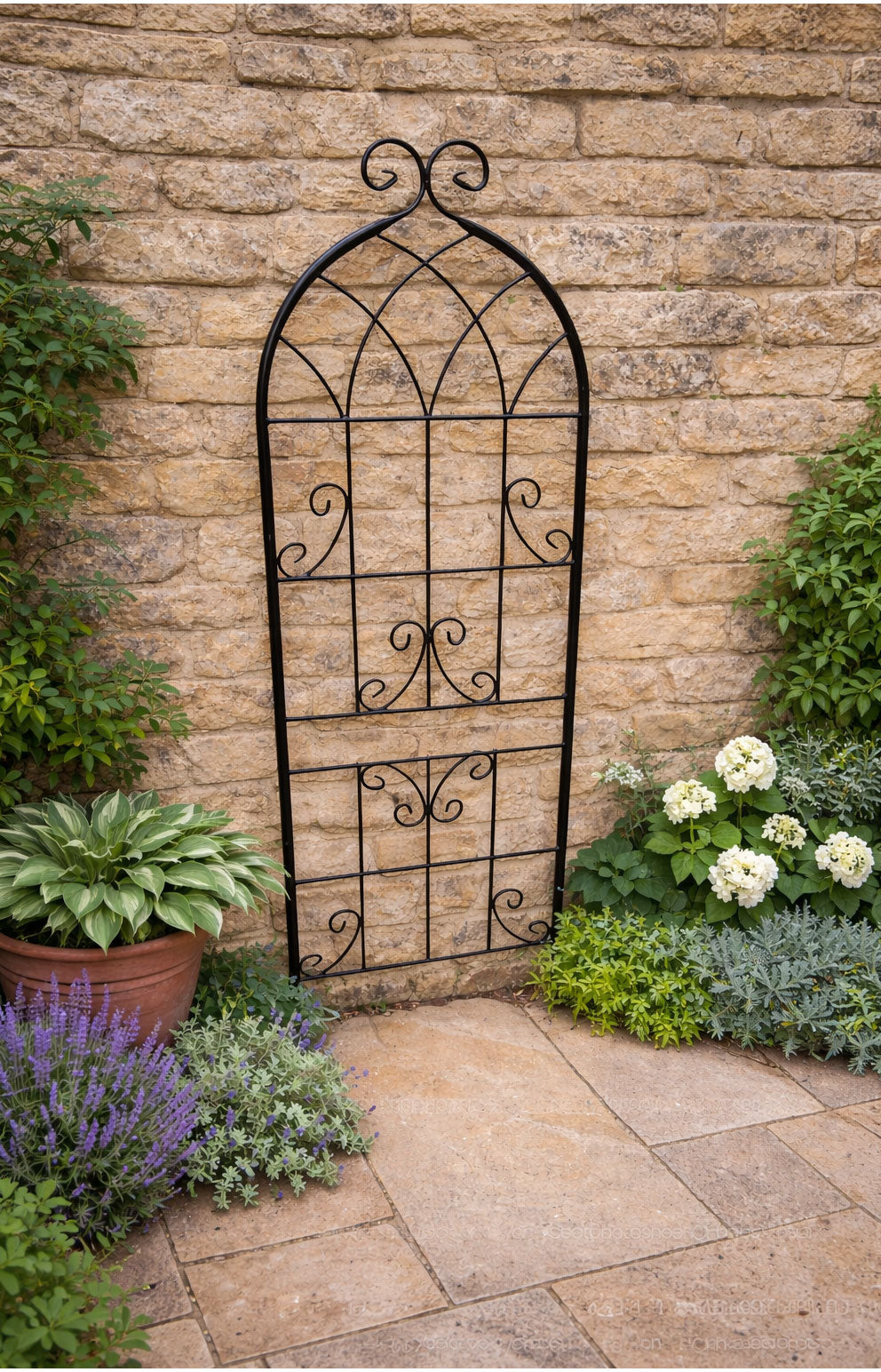 Steel Garden Wall Trellis for Supporting Climbing Plants