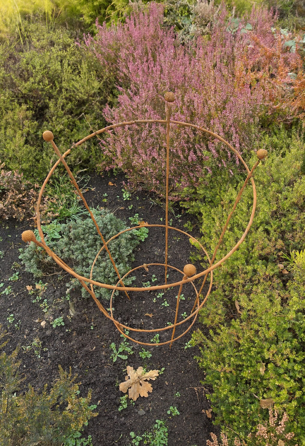 Rust Finish Herbaceous Peony Support – Metal Plant Ring for Perennials