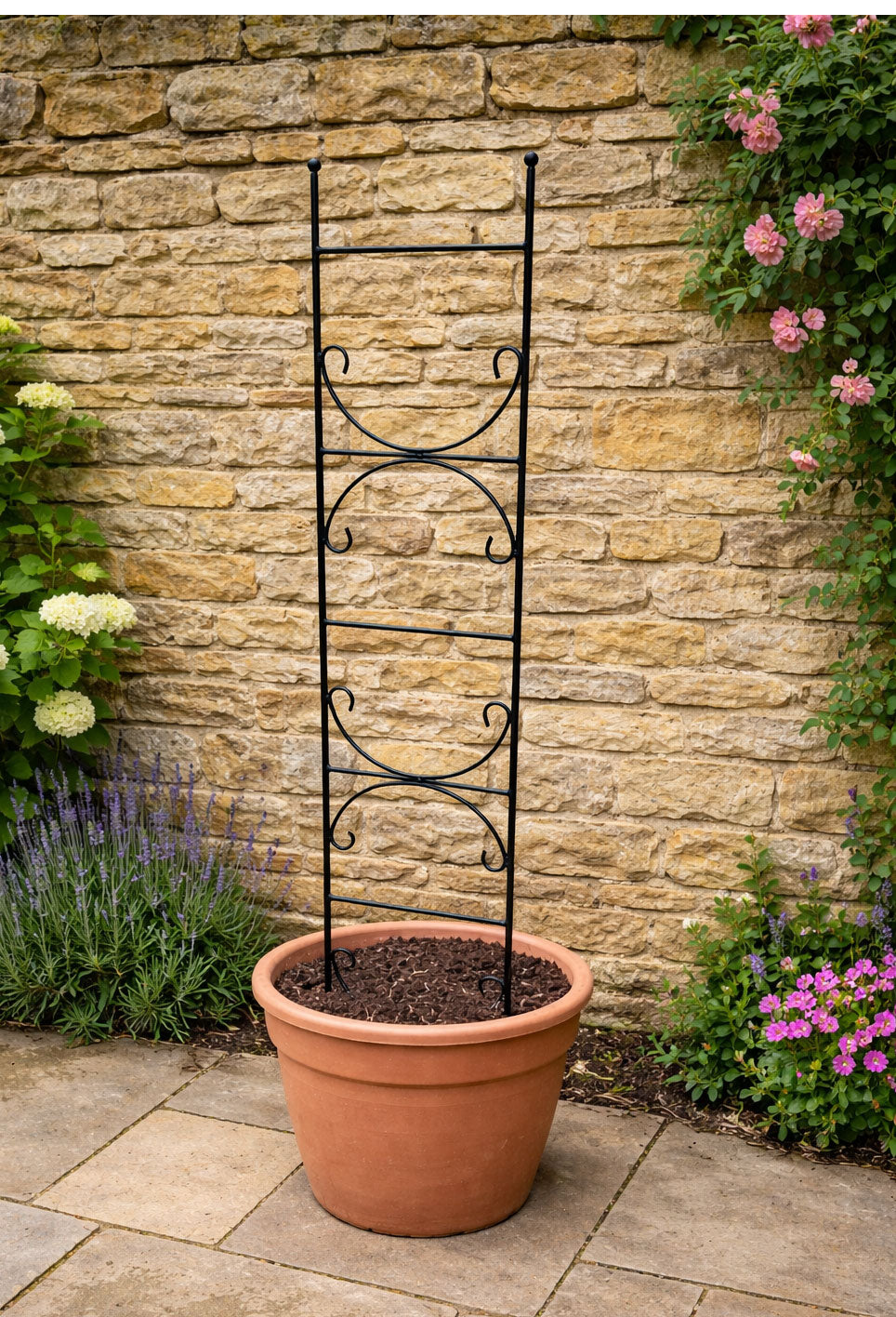 Metal Trellis Plant Support - Ideal for Pots & Planters