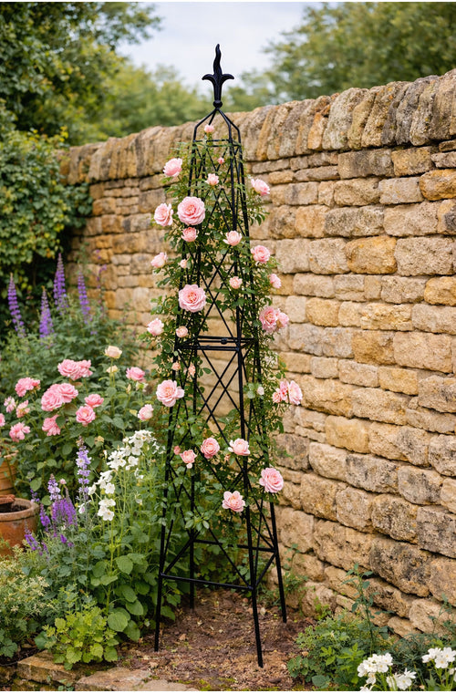 Heavy Duty Steel Garden Obelisk 2m and 2.5m - Extra Tall Metal Climbing Plant Support