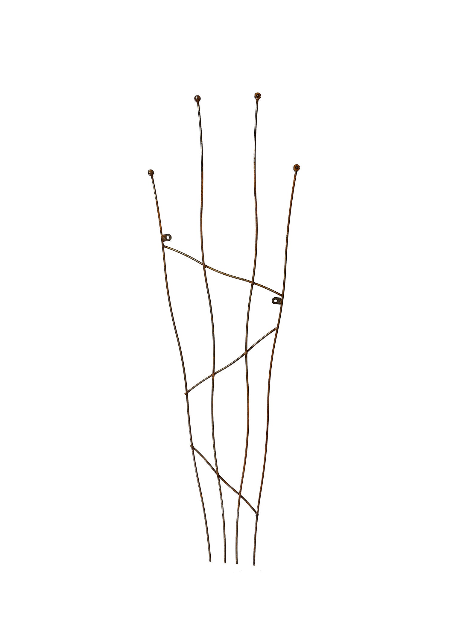 Metal Garden Trellis for Climbing Plants - Strong Steel Wall Support - Black or Rust