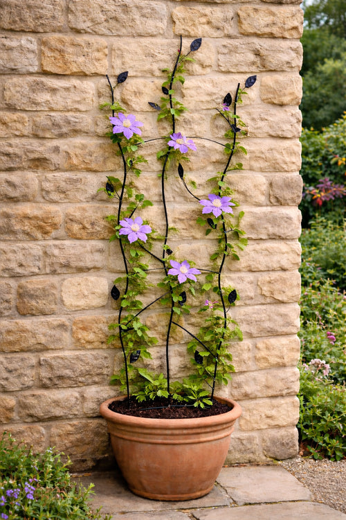 Decorative Garden Trellis Panel – Black Twig & Leaf Art Trellis for Outdoor Wall