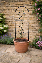 Outdoor Garden Trellis for Climbing Plants - Decorative Metal Plant Support