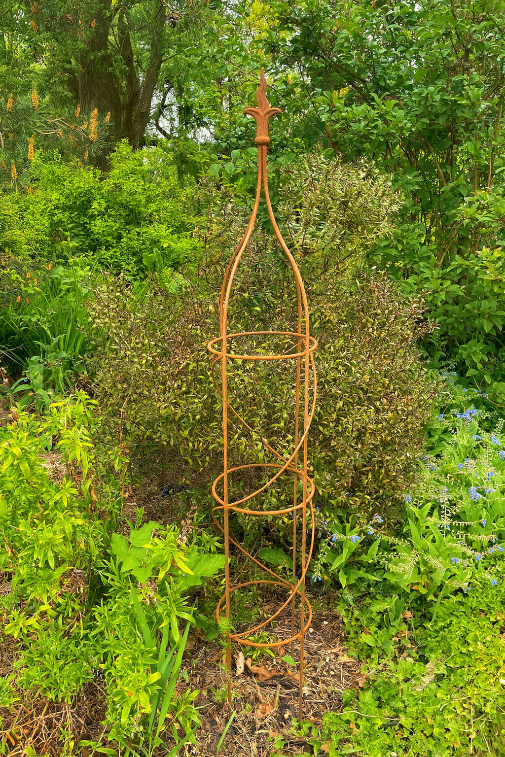Sturdy Natural Rust Plant Obelisk for Climbing Plants
