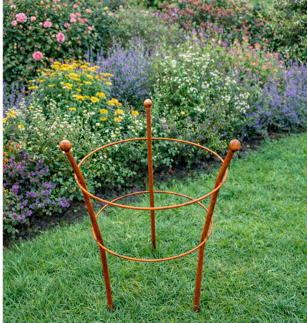 Perennial Plant Support - Rust Steel Peony Support for Gardens