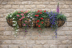 Twin Pack Metal Wall Planters with Coco Liners Iron Wall-Mounted Garden Planters Extra Large