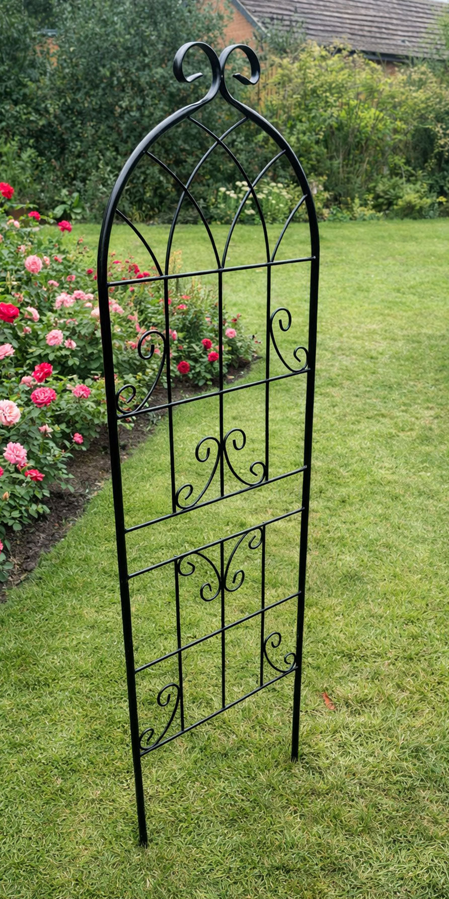 Steel Garden Wall Trellis for Supporting Climbing Plants