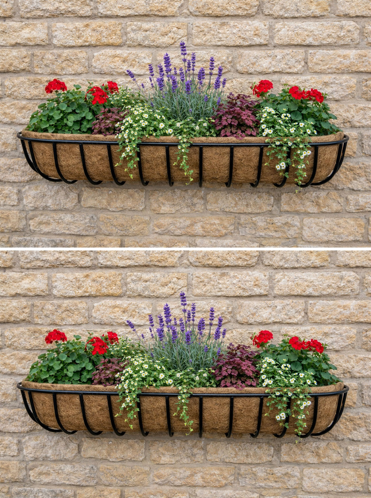 Extra Large Twin Pack Wall Trough Planter Boxes for Patio and Garden W