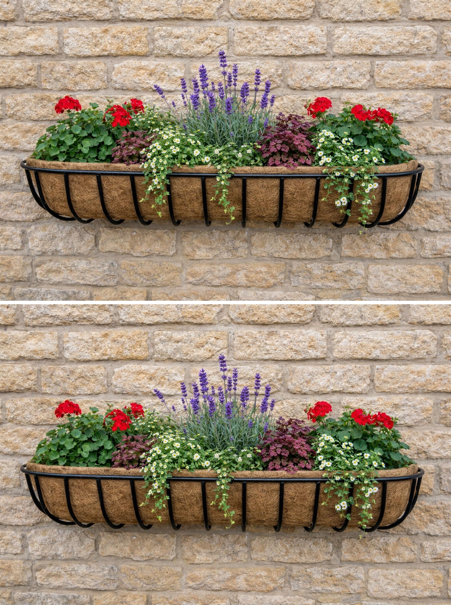 Extra Large Twin Pack Wall Trough Planter Boxes for Patio and Garden Walls - Wall Mounted Plant Containers