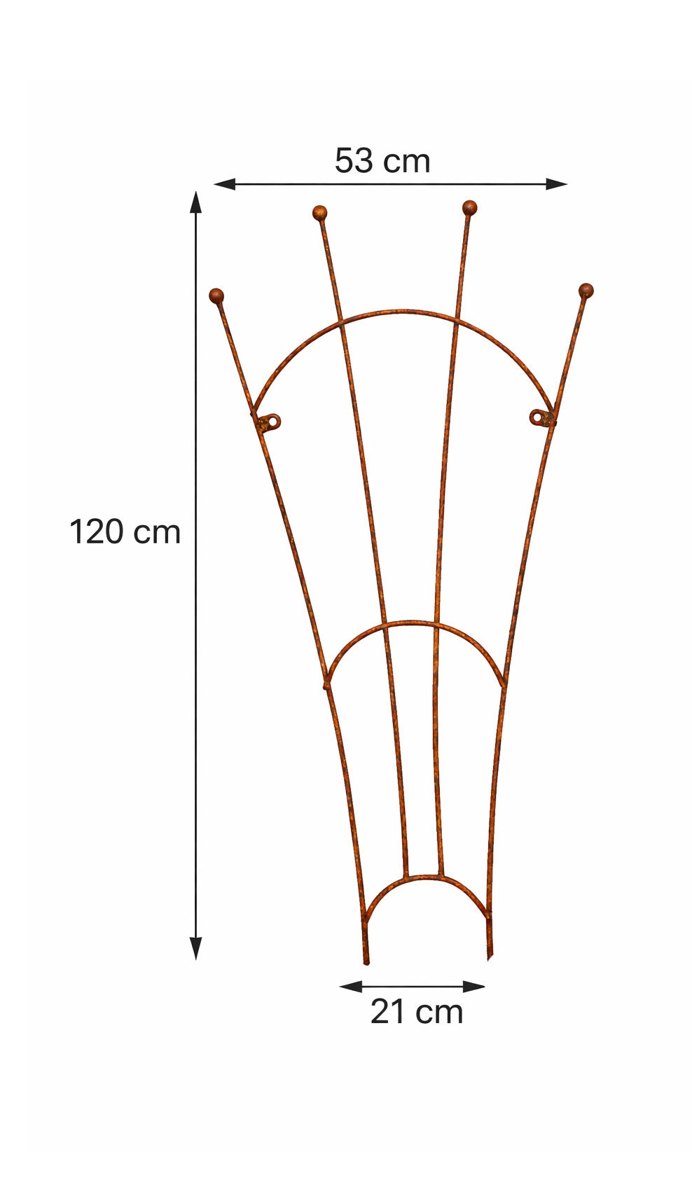 Heavy Duty Steel Fan Plant Support for Climbing Flowers & Vines Natural Rust