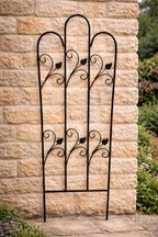 Decorative Black Metal Garden Trellis Scrolled Leaf Design for Climbing Plants