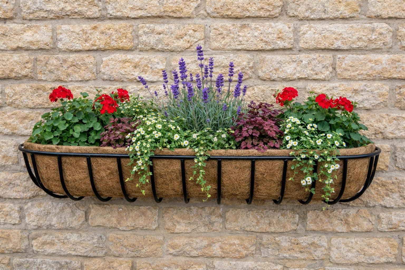 Extra Large Twin Pack Wall Trough Planter Boxes for Patio and Garden Walls - Wall Mounted Plant Containers
