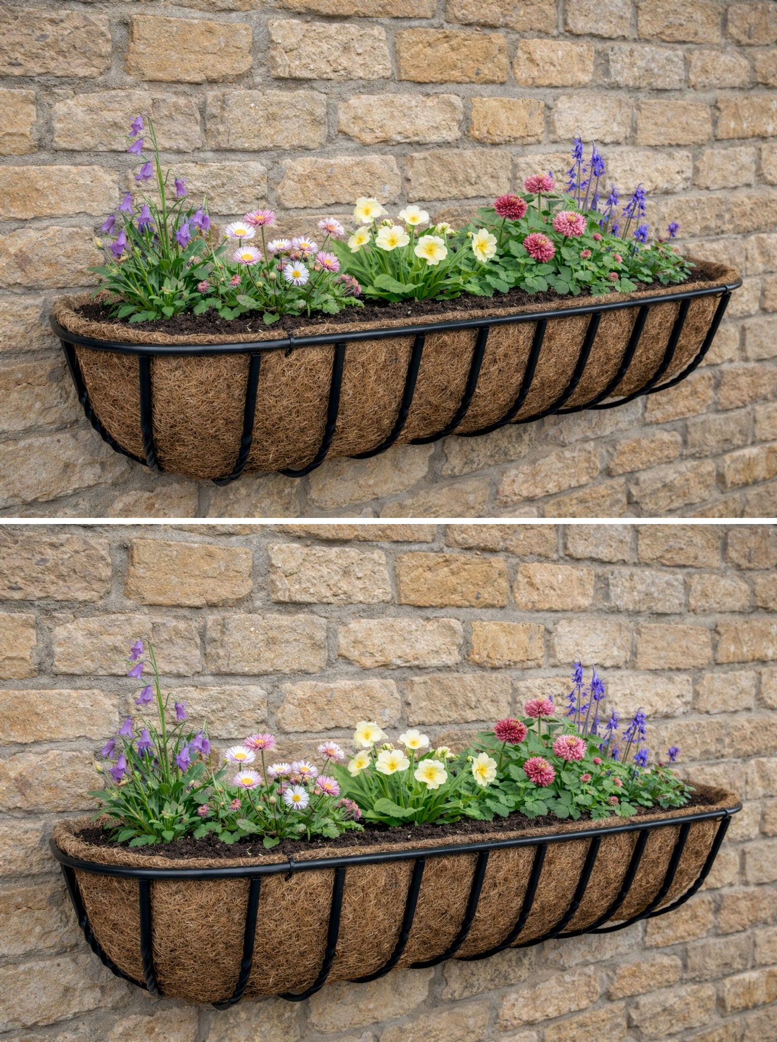 Large Twin Pack Wall Trough Planters for Patio and Garden Walls - Wall Mounted Outdoor Plant Containers