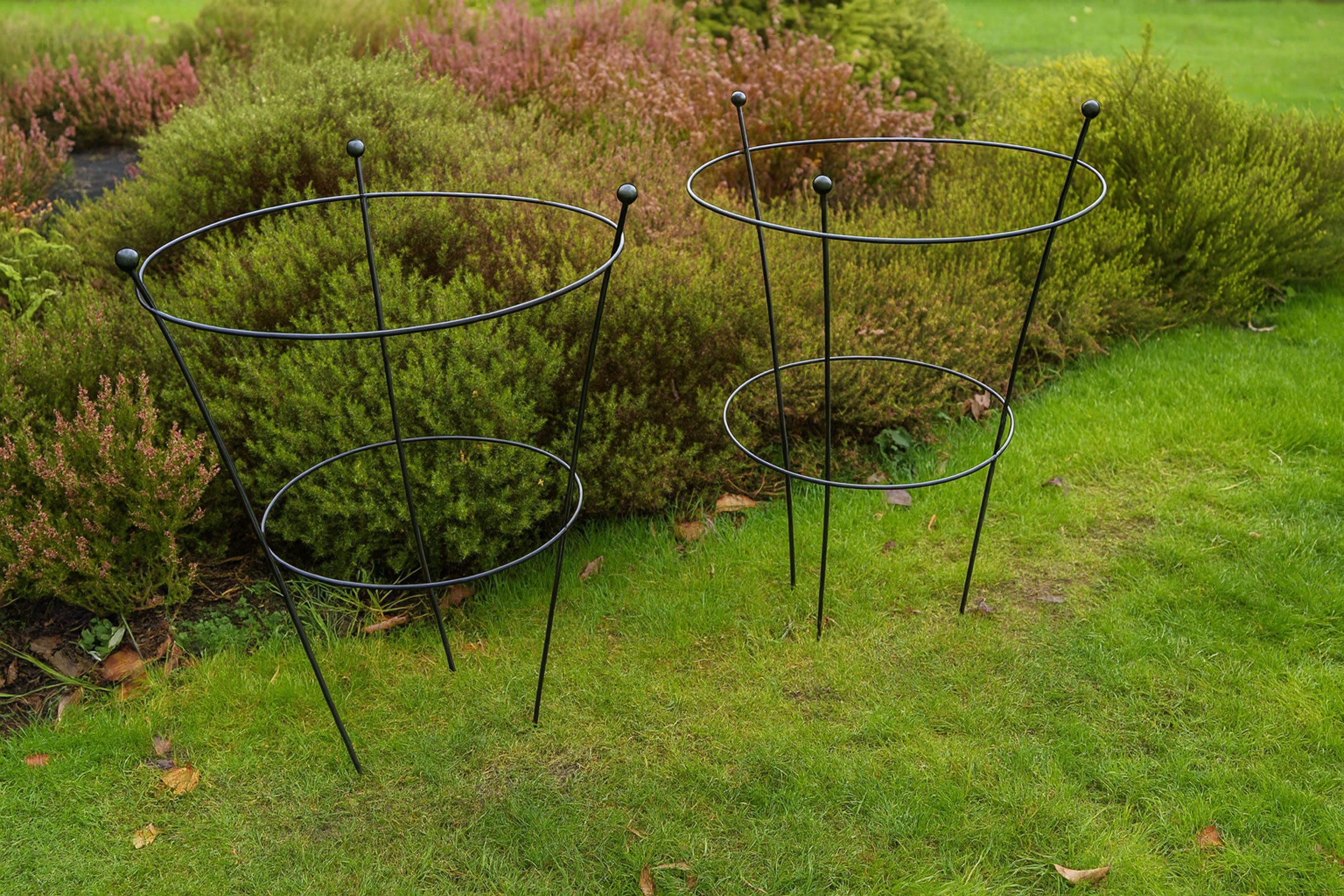 Garden Peony Support Frames Herbaceous Plant Frames (Set of Two)