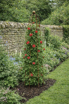 Large Metal Plant Support Rust Obelisk – 210cm Garden Trellis for Climbing Plants