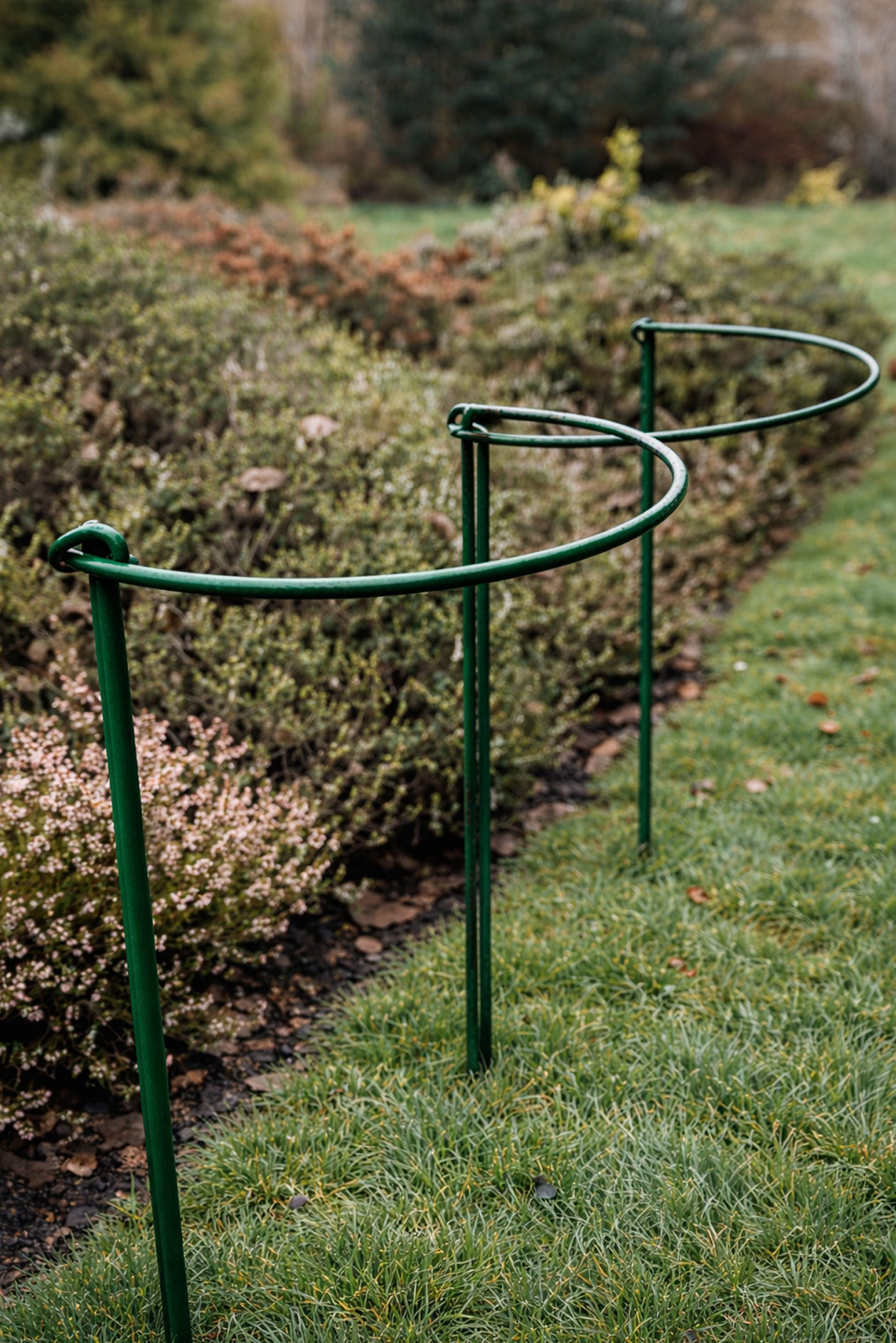 Green Powder Coated Metal Plant Support Hoops – Interlocking Garden Supports, Set of 2