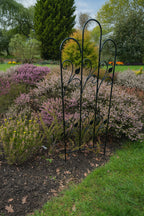 Decorative Black Metal Garden Trellis Scrolled Leaf Design for Climbing Plants