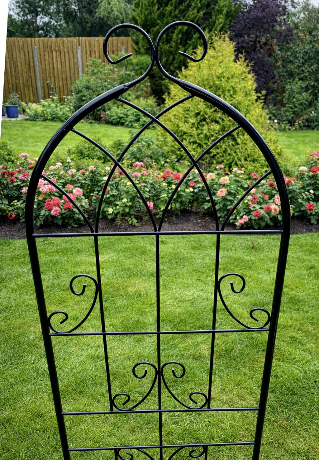 Steel Garden Wall Trellis for Supporting Climbing Plants