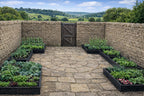 Wooden Raised Garden Beds for Vegetables Plants - Multiple Sizes