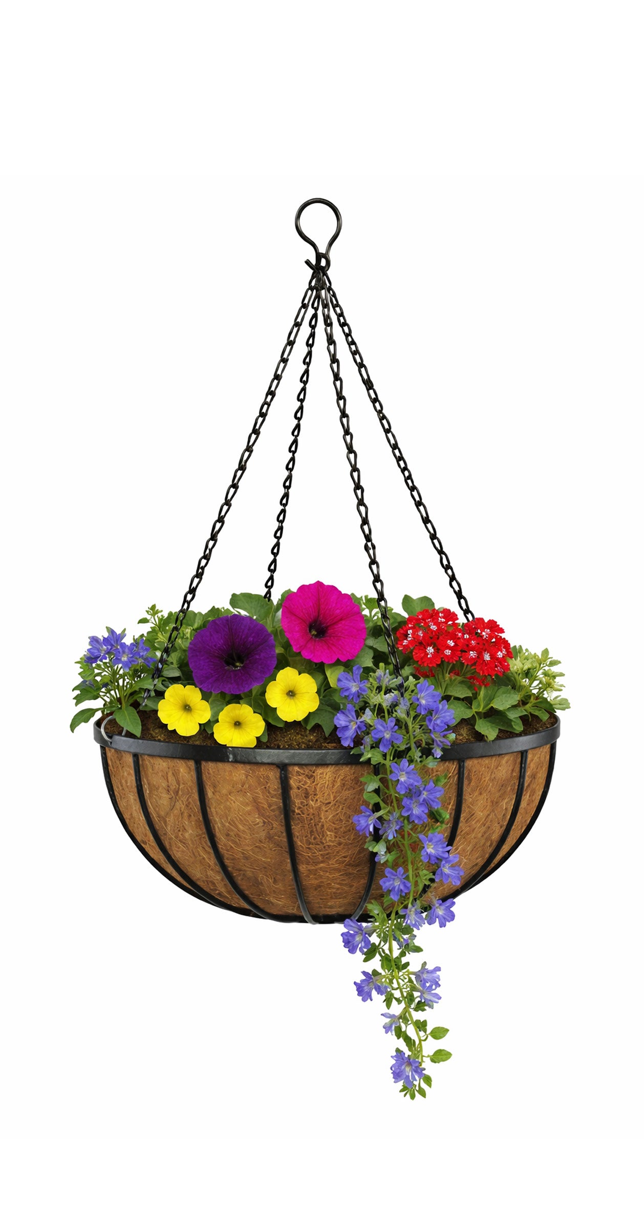 40cm Outdoor Hanging Basket Planters Twin Pack - Strong Metal Baskets with Natural Coco Liners