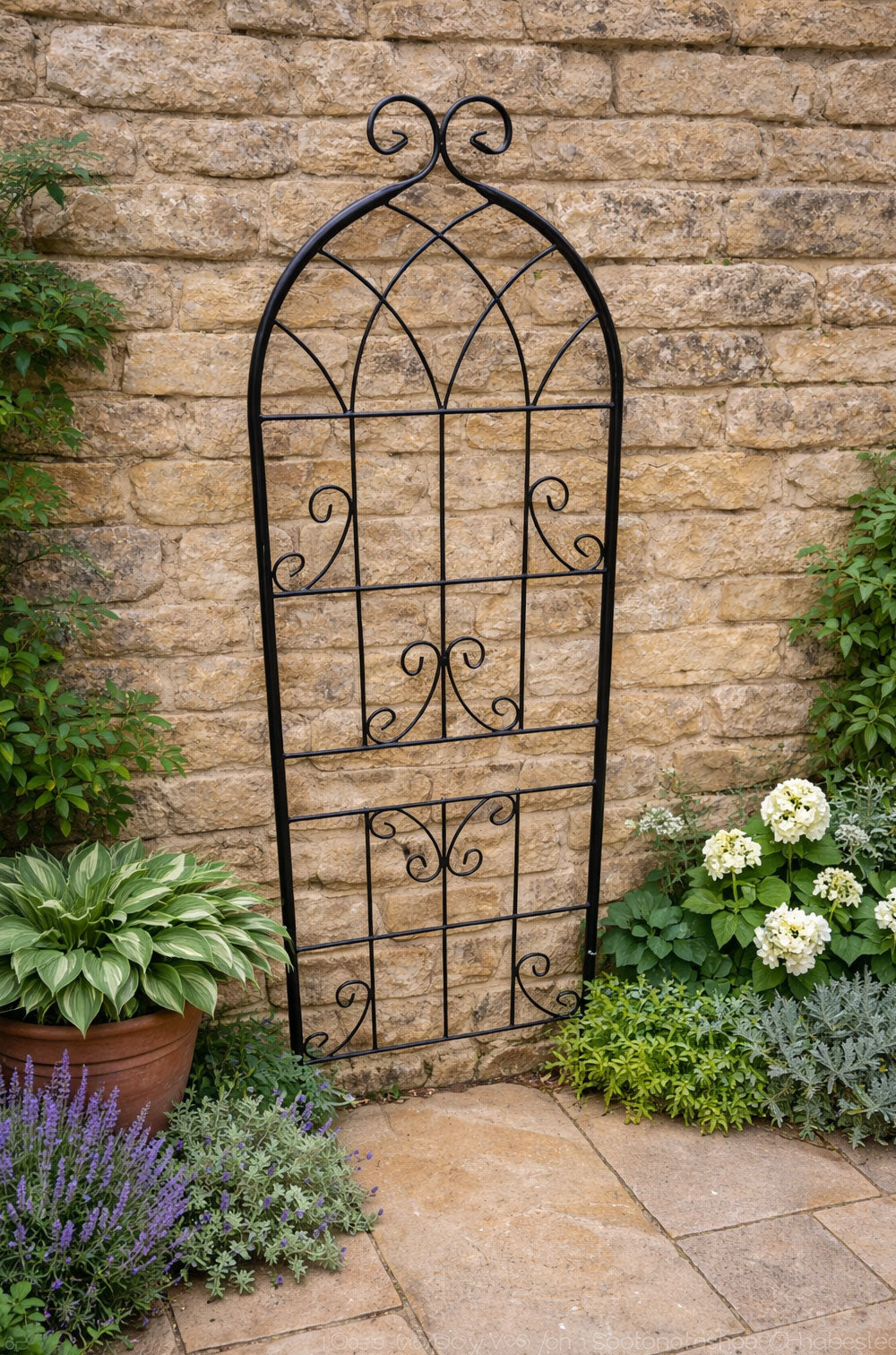 Steel Garden Wall Trellis for Supporting Climbing Plants