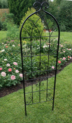 Steel Garden Wall Trellis for Supporting Climbing Plants