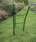 Plant Support Flower Ring – Green Steel Support for Peonies and Flowers