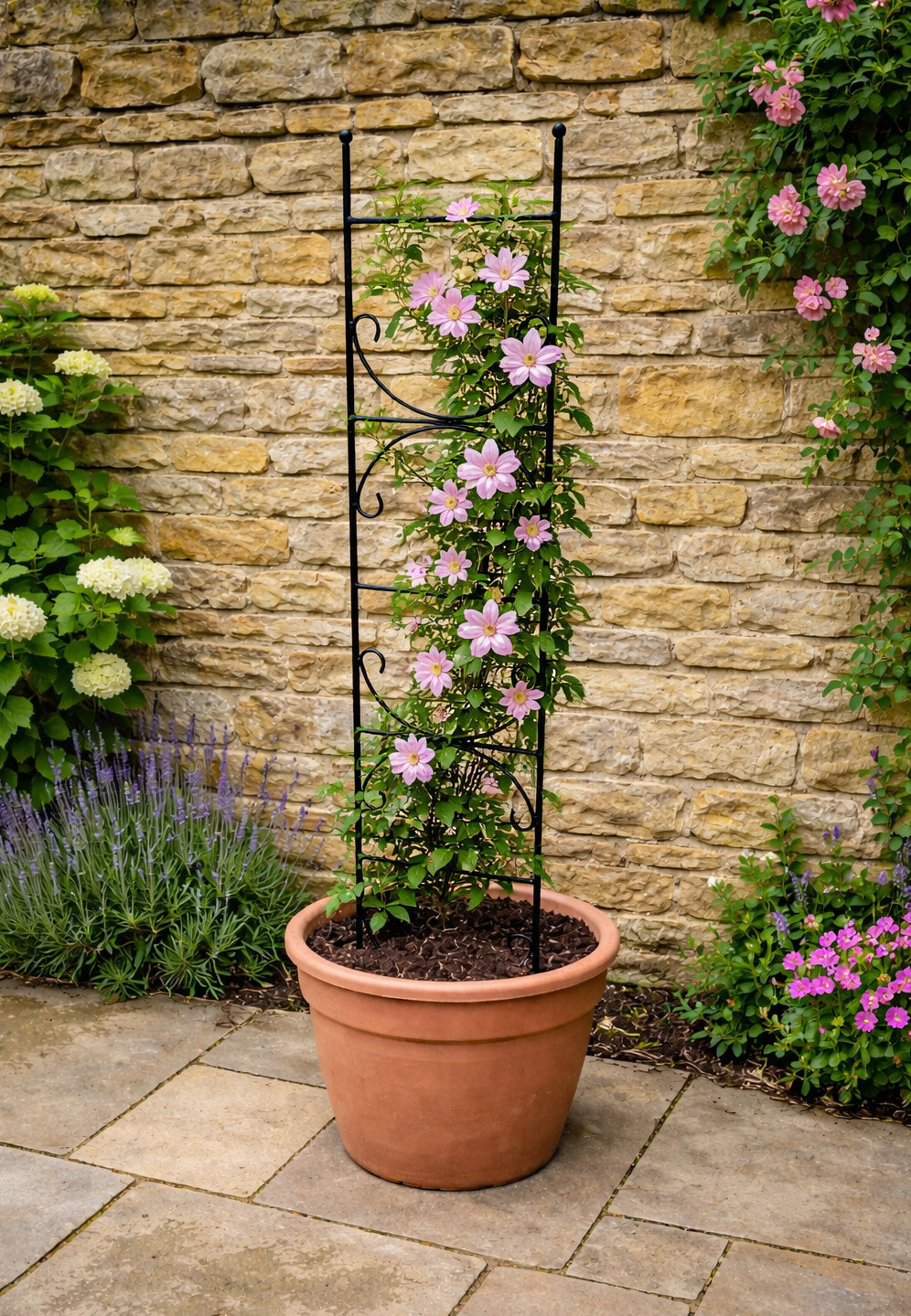 Metal Trellis Plant Support - Ideal for Pots & Planters