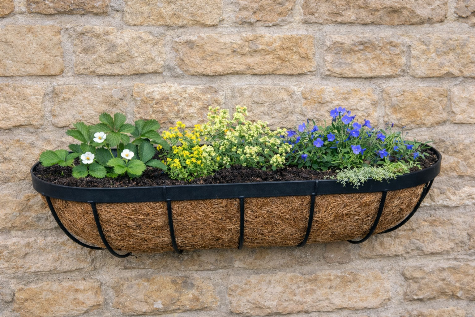 Twin Pack Outdoor Metal Wall Planters 60cm Window Boxes with Natural Coir Liners for Garden Walls