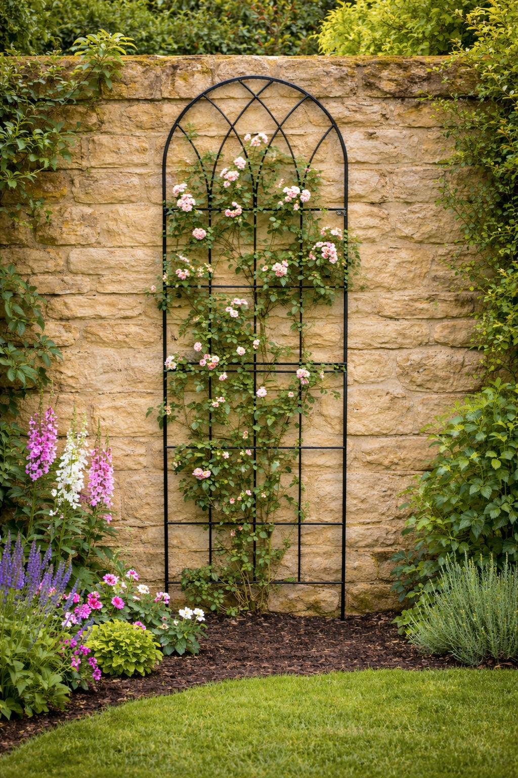 Tall Metal Garden Trellises for Climbing Plants - Wall Mounted Plant Supports