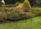 Garden Peony Support Frames Herbaceous Plant Frames (Set of Two)