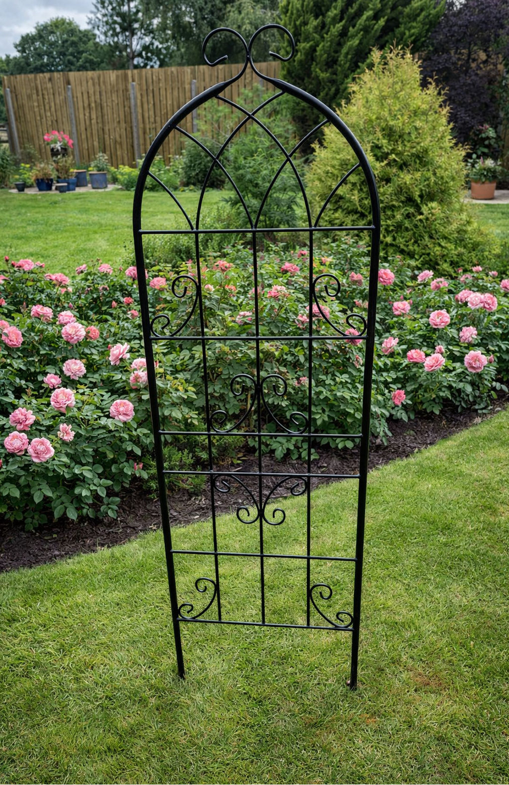 Steel Garden Wall Trellis for Supporting Climbing Plants