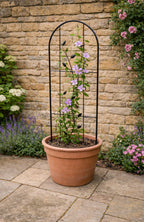 Outdoor Garden Trellis for Climbing Plants - Decorative Metal Plant Support