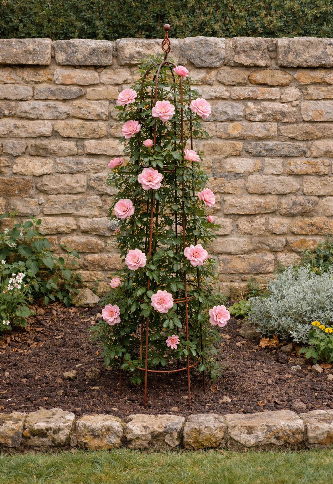 Garden Obelisk for Climbing Plants & Roses - Rustic Solid Steel Plant Support