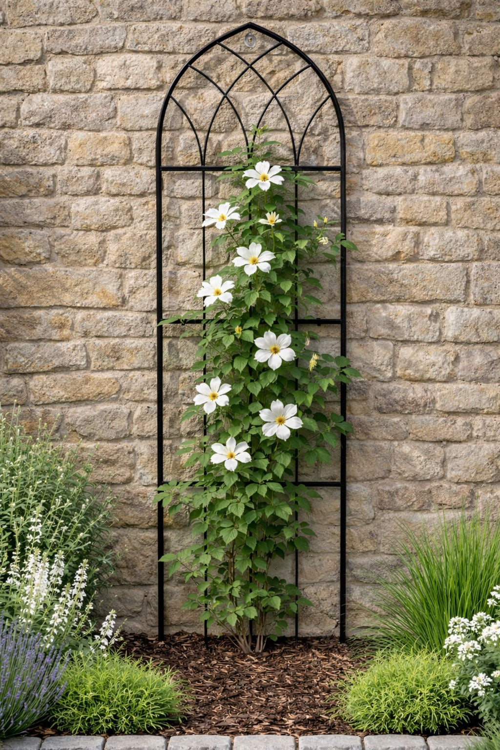 Arched Garden Trellis Metal Plant Support Frame for Climbing Plants and Flowers