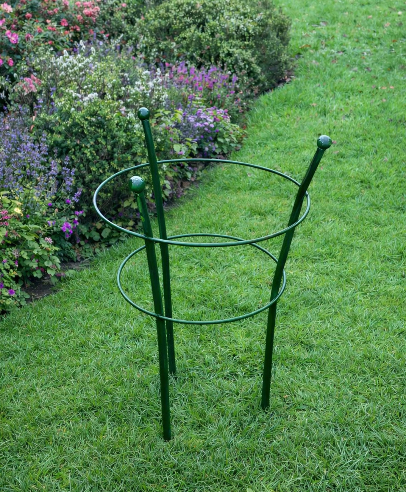 Plant Support Flower Ring – Green Steel Support for Peonies and Flowers