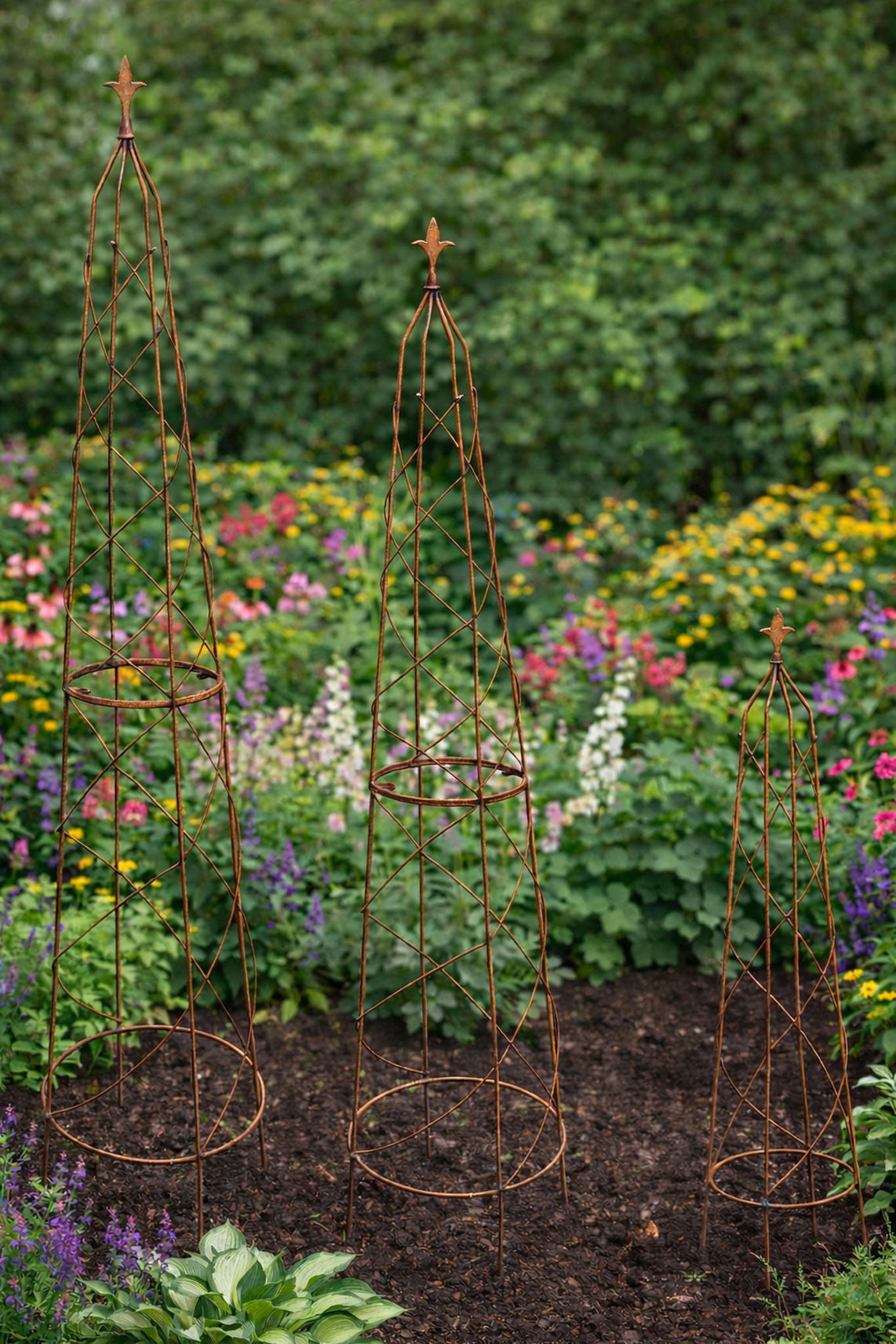 Handcrafted Steel Climbing Plant Support Obelisks - Available in 3 Sizes