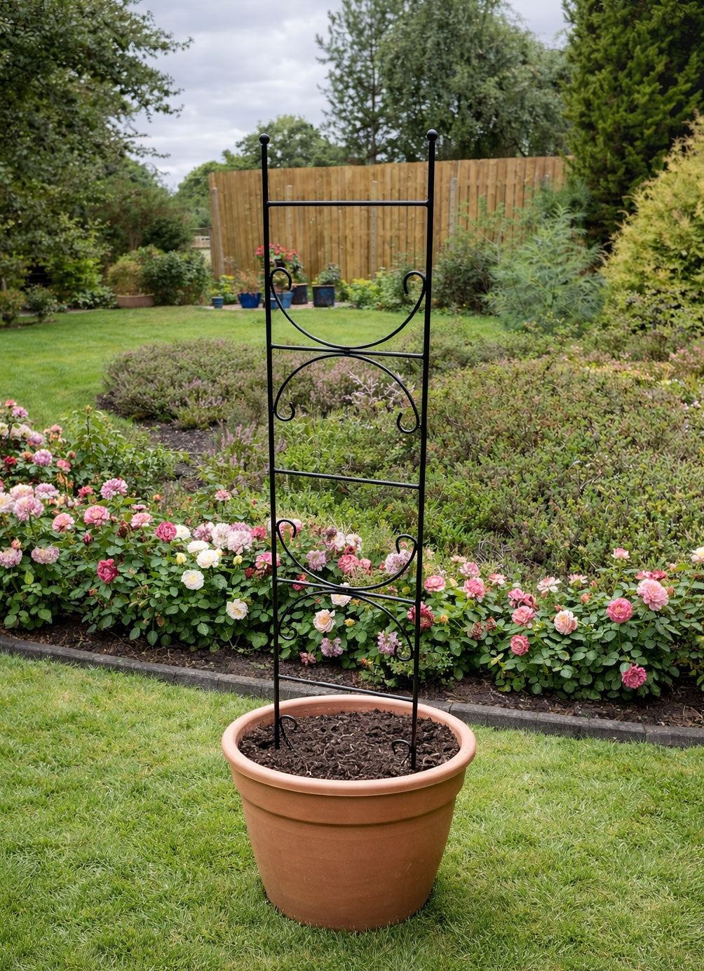 Metal Trellis Plant Support - Ideal for Pots & Planters